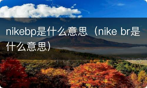 nikebp是什么意思（nike br是什么意思）