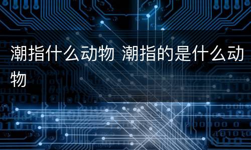 潮指什么动物 潮指的是什么动物