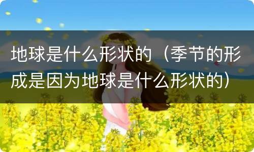 地球是什么形状的（季节的形成是因为地球是什么形状的）