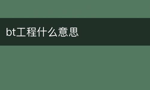 bt工程什么意思
