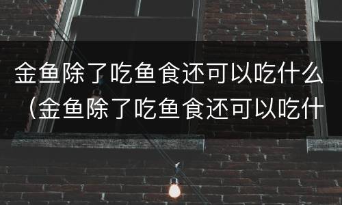 金鱼除了吃鱼食还可以吃什么（金鱼除了吃鱼食还可以吃什么东西）
