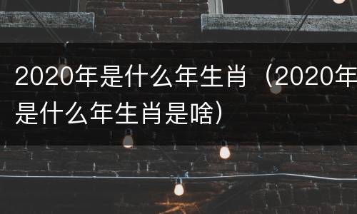 2020年是什么年生肖（2020年是什么年生肖是啥）