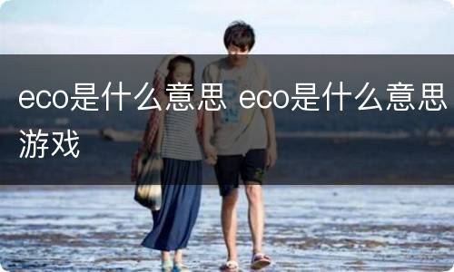 eco是什么意思 eco是什么意思游戏