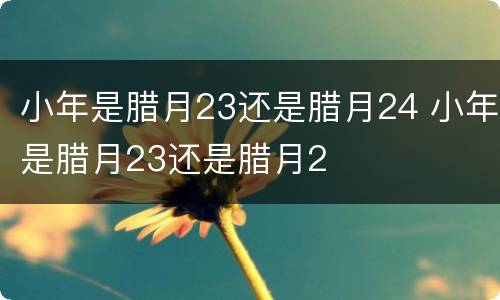 小年是腊月23还是腊月24 小年是腊月23还是腊月2