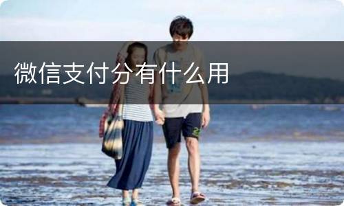 微信支付分有什么用