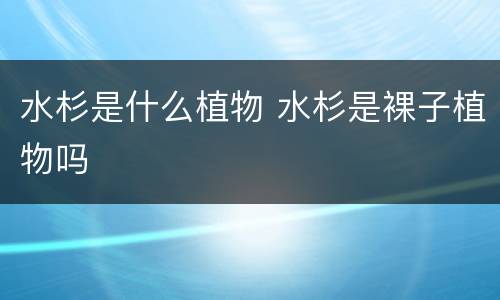 水杉是什么植物 水杉是裸子植物吗