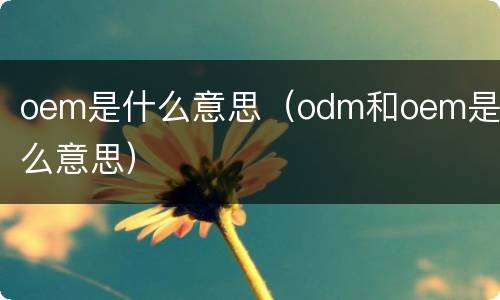 oem是什么意思（odm和oem是什么意思）