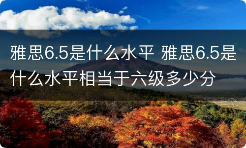 雅思6.5是什么水平 雅思6.5是什么水平相当于六级多少分