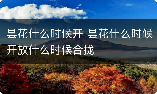 昙花什么时候开 昙花什么时候开放什么时候合拢