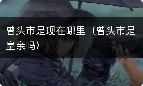 曾头市是现在哪里（曾头市是皇亲吗）