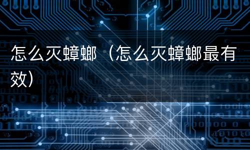 怎么灭蟑螂（怎么灭蟑螂最有效）
