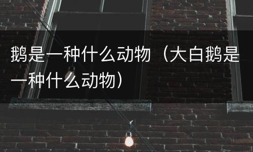 鹅是一种什么动物（大白鹅是一种什么动物）