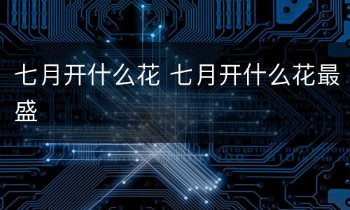 七月开什么花 七月开什么花最盛