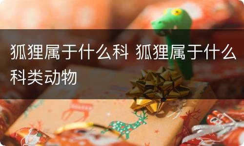 狐狸属于什么科 狐狸属于什么科类动物