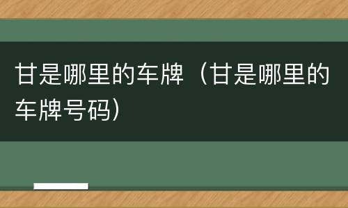 甘是哪里的车牌（甘是哪里的车牌号码）