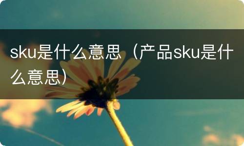 sku是什么意思（产品sku是什么意思）