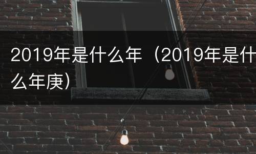 2019年是什么年（2019年是什么年庚）