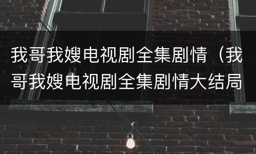我哥我嫂电视剧全集剧情（我哥我嫂电视剧全集剧情大结局）