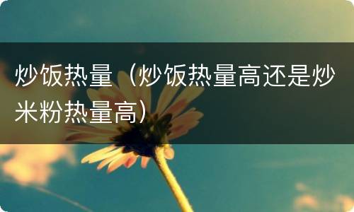 炒饭热量（炒饭热量高还是炒米粉热量高）
