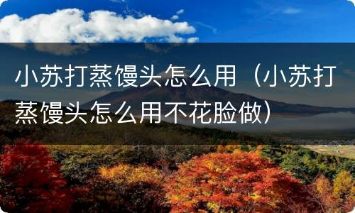 小苏打蒸馒头怎么用（小苏打蒸馒头怎么用不花脸做）