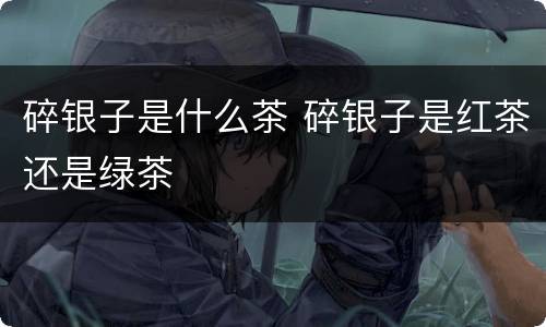 碎银子是什么茶 碎银子是红茶还是绿茶