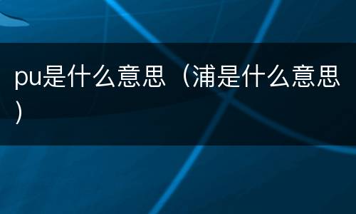 pu是什么意思（浦是什么意思）