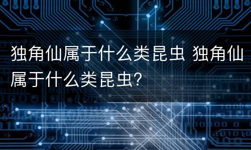 独角仙属于什么类昆虫 独角仙属于什么类昆虫?