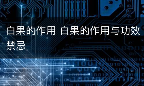 白果的作用 白果的作用与功效禁忌