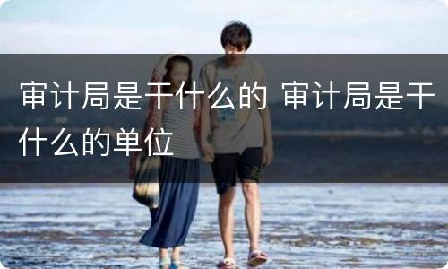 审计局是干什么的 审计局是干什么的单位