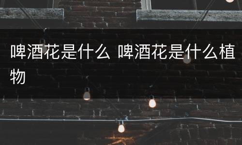 啤酒花是什么 啤酒花是什么植物