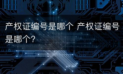产权证编号是哪个 产权证编号是哪个?