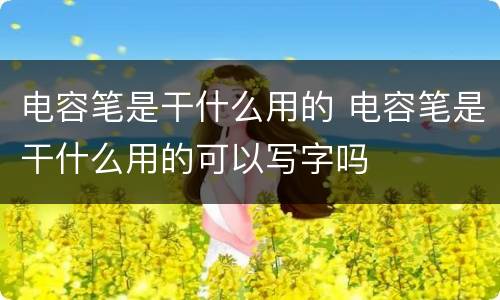 电容笔是干什么用的 电容笔是干什么用的可以写字吗