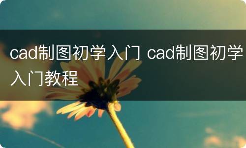 cad制图初学入门 cad制图初学入门教程