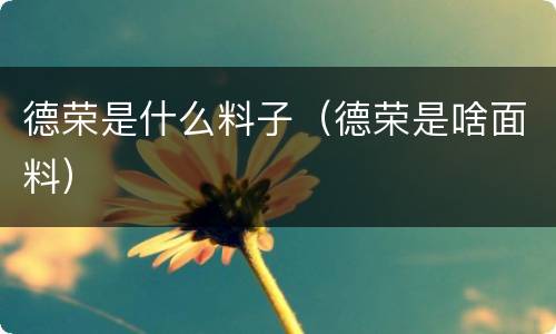德荣是什么料子（德荣是啥面料）