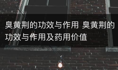 臭黄荆的功效与作用 臭黄荆的功效与作用及药用价值