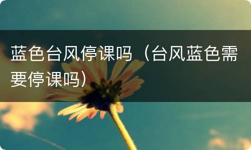蓝色台风停课吗（台风蓝色需要停课吗）