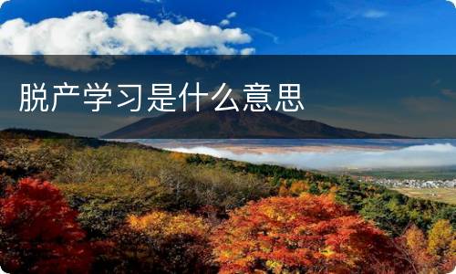 脱产学习是什么意思