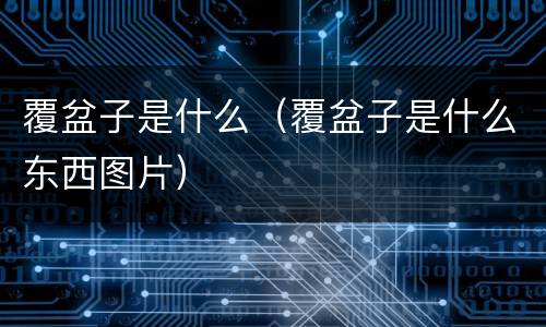 覆盆子是什么（覆盆子是什么东西图片）