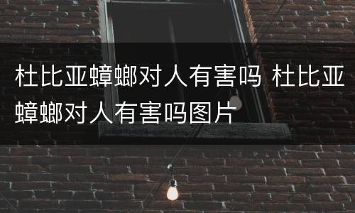 杜比亚蟑螂对人有害吗 杜比亚蟑螂对人有害吗图片