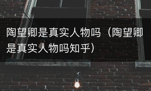 陶望卿是真实人物吗（陶望卿是真实人物吗知乎）