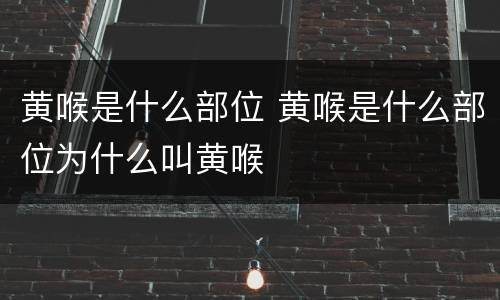 黄喉是什么部位 黄喉是什么部位为什么叫黄喉