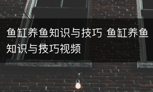 鱼缸养鱼知识与技巧 鱼缸养鱼知识与技巧视频