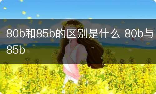 80b和85b的区别是什么 80b与85b