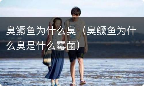 臭鳜鱼为什么臭（臭鳜鱼为什么臭是什么霉菌）