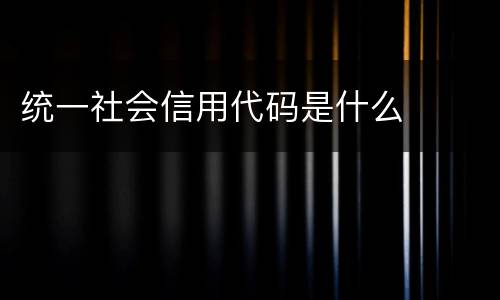 统一社会信用代码是什么