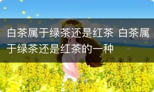 白茶属于绿茶还是红茶 白茶属于绿茶还是红茶的一种