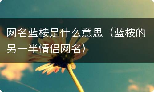 网名蓝桉是什么意思（蓝桉的另一半情侣网名）
