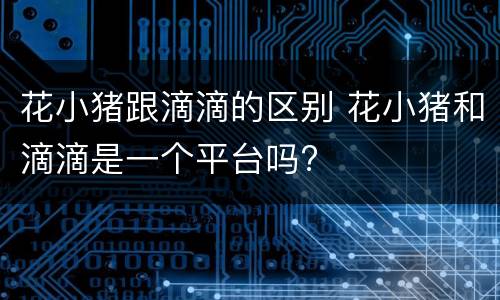 花小猪跟滴滴的区别 花小猪和滴滴是一个平台吗?