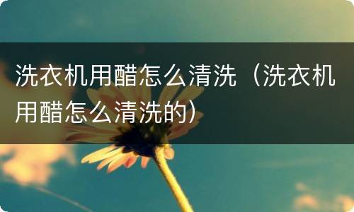 洗衣机用醋怎么清洗（洗衣机用醋怎么清洗的）