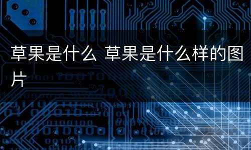 草果是什么 草果是什么样的图片